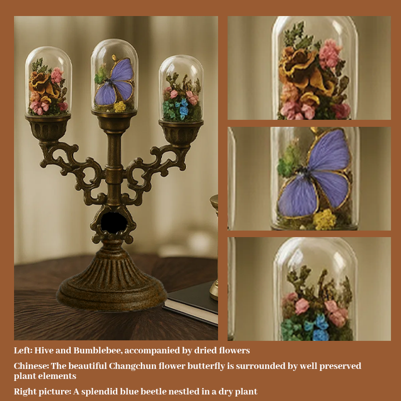 🕯️ Mini Candelabra with Natural Specimens 🦋🐝🌿