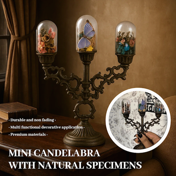 🕯️ Mini Candelabra with Natural Specimens 🦋🐝🌿