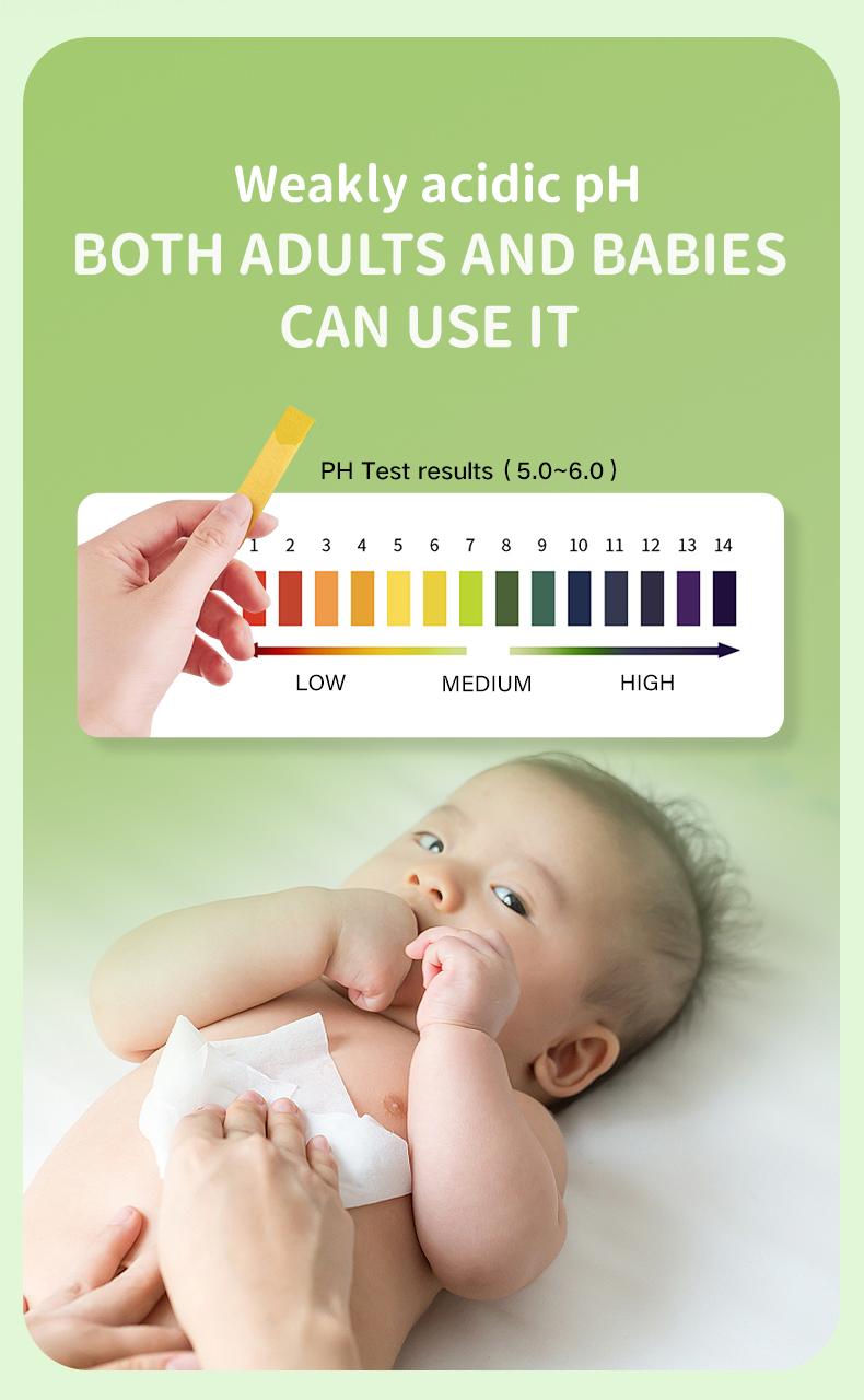 🌿 Mini Wet Wipes · Keep Clean Anytime, Anywhere