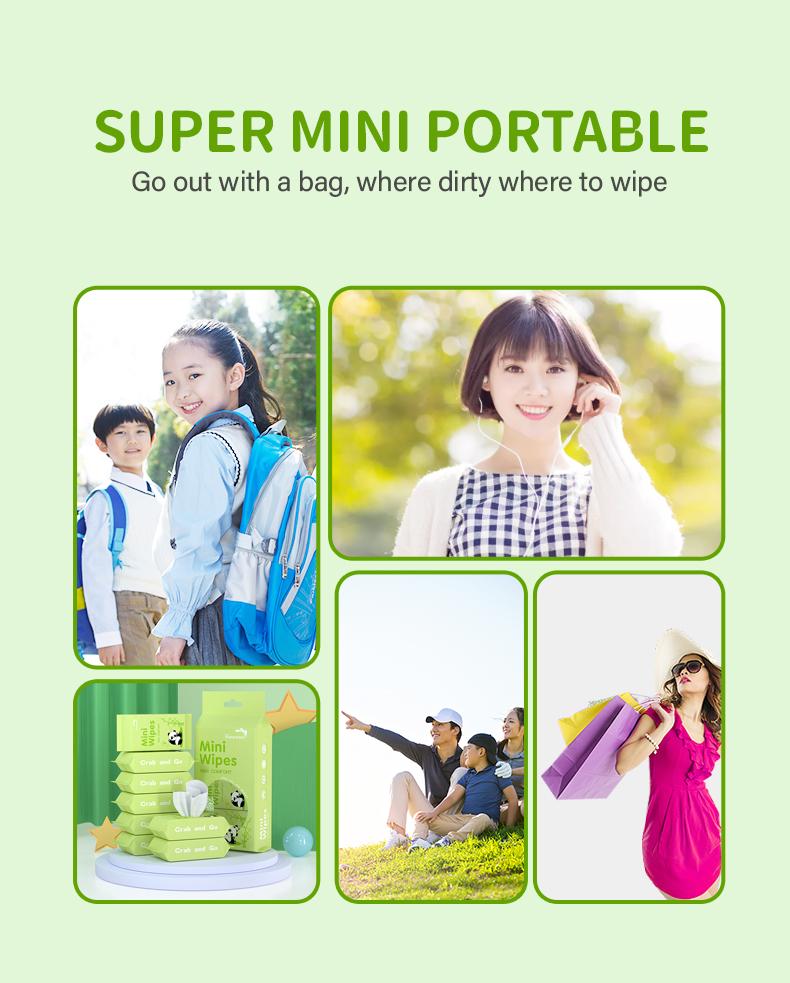 🌿 Mini Wet Wipes · Keep Clean Anytime, Anywhere