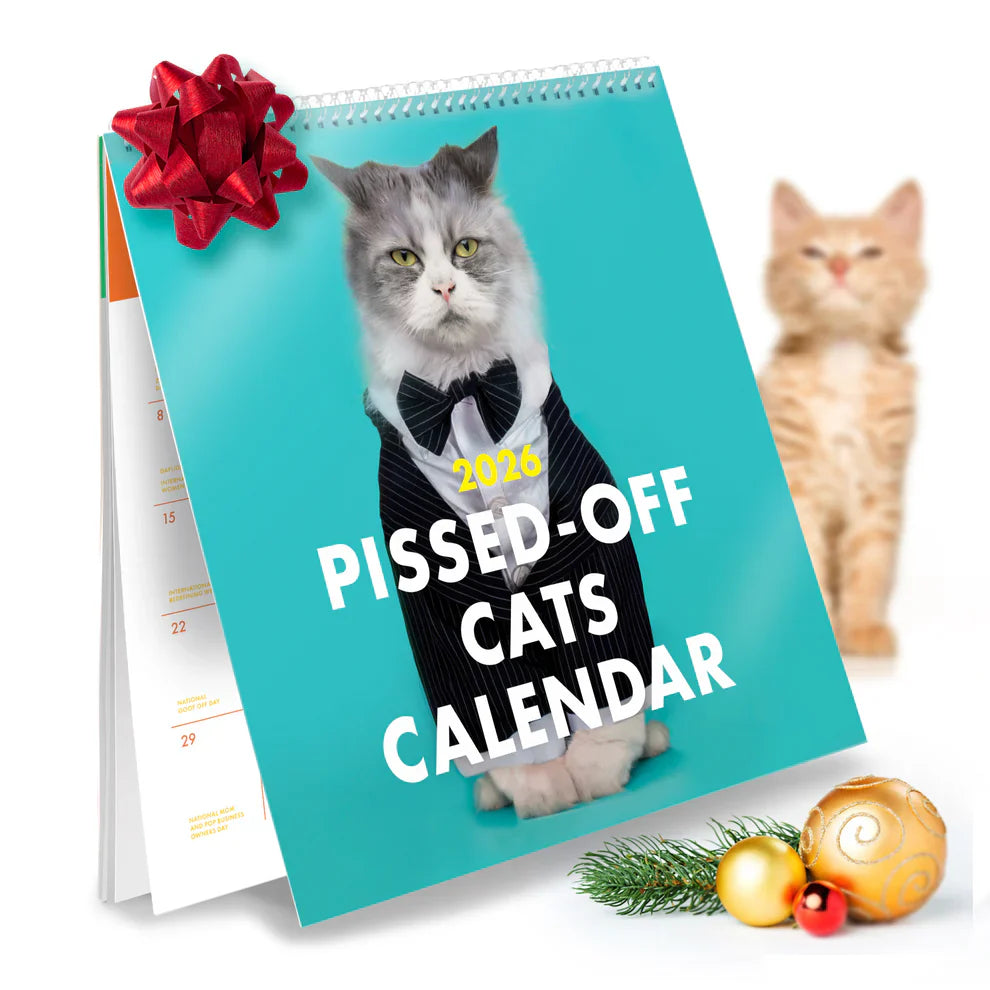 2026 Pissed-off Cats Calendar