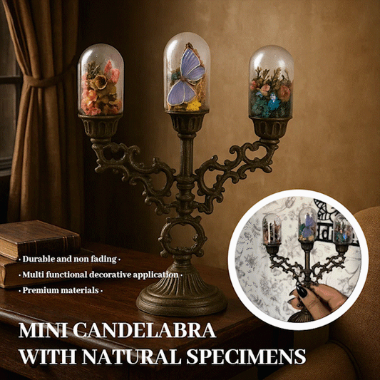 🕯️ Mini Candelabra with Natural Specimens 🦋🐝🌿