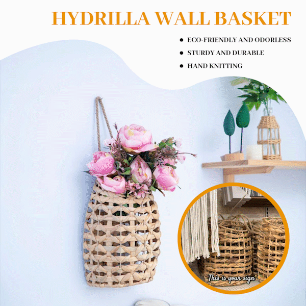 🌸Hydrilla wall basket